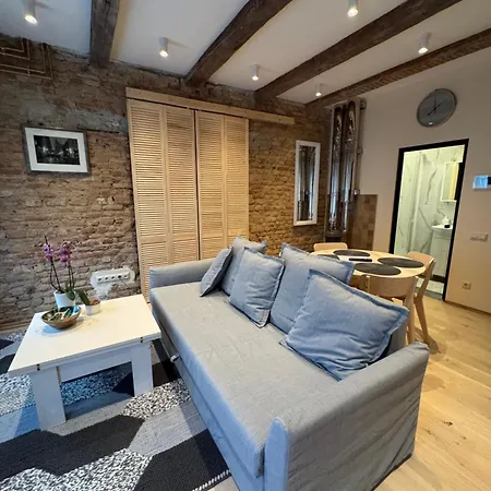 Apartment Bonum In Old Town