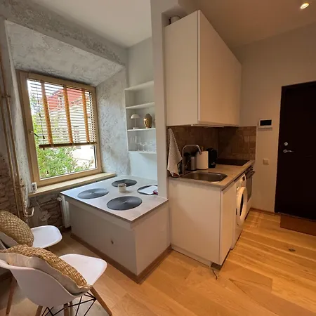 Bonum In Old Town Apartment Vilnius