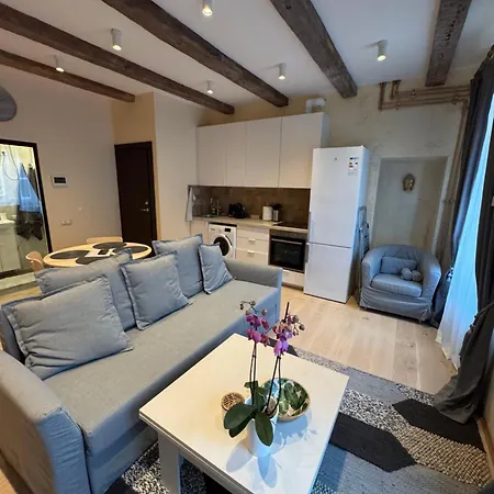 Apartment Bonum In Old Town Vilnius