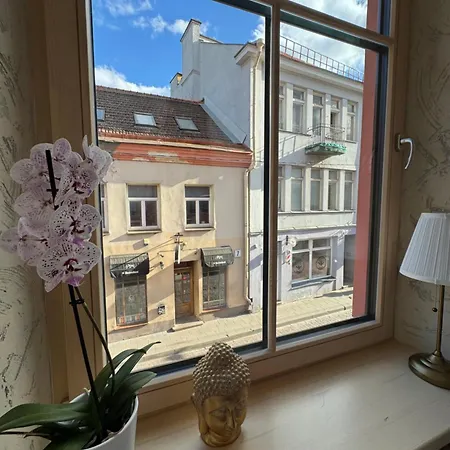 Bonum In Old Town Apartment *