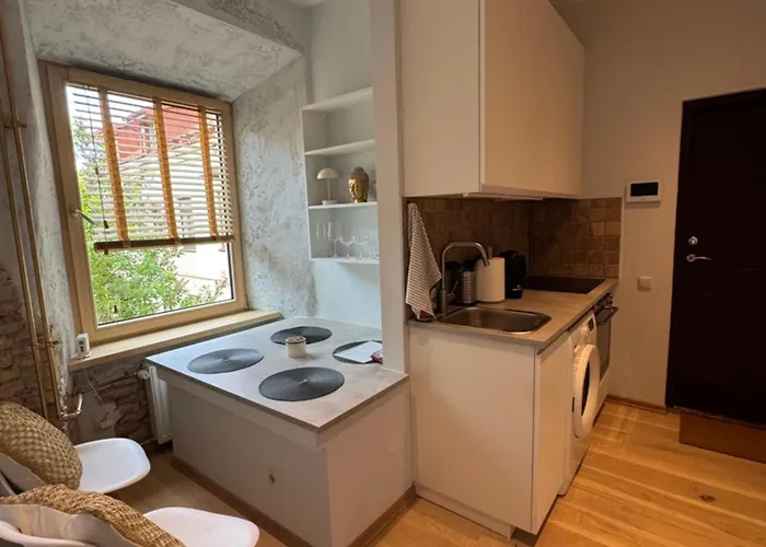 Bonum In Old Town Apartman Vilnius