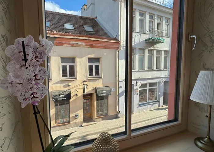 Bonum In Old Town Apartment *